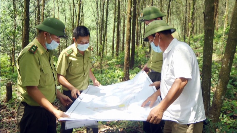 Tiếp tục tăng cường công tác phòng cháy, chữa cháy rừng trên địa bàn TP Hạ Long